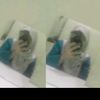 husnajugaa