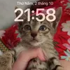 mymy43074