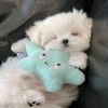 xuan_1322