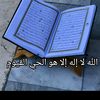 fathizbidi2