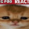 bigpoo_real4