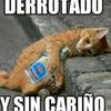yiam.padron