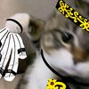 paracatamol_megadosis
