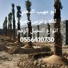 user4785683460521