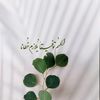 user57814600682025