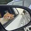 pachichi_014