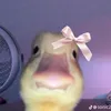 itme.ur0