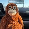 giora_monkey_67