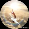 minh.qun3509