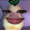 alxndragui