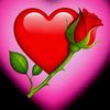 user280015495