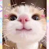 thao.minh9849