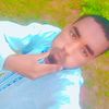 mohamad.gibrim