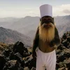 قرد الجبل