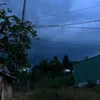 tinanguyn45