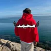313_awp