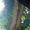 everlin588