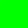 user41054381446130
