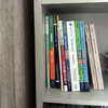 studymesha