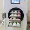 freezer dryer machine for sale