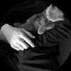 ali.hadad737