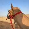 ym3aaaaa