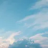 monametourmentee