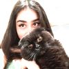 elena.shokri89