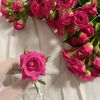 eman.el.farmawy