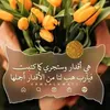 user98540677011901