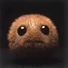 kiwi36952