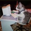 studyfetch.askari