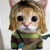 gui_afv.ls