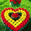 user70667788868666