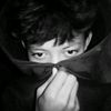 zall0295