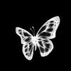 zanz_456