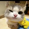 always_elva28