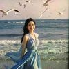 bao239211mj