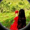 funny.videos.uk5