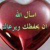 user72403594369067