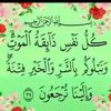 rahma.seman5