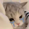 .qunh.hoa.ff