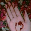user447790584