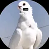 لزمن!!😂👋🏼••💤