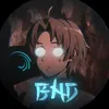 bnd_amp