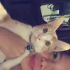 arnel_qt0