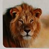 leothelion8888