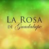 La rosa de Guadalupe 🌻