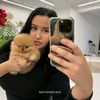 pomeranianloves5