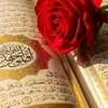 user20800494607341